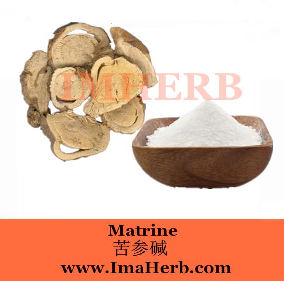 Best price sophora root extract matrine for pesticide